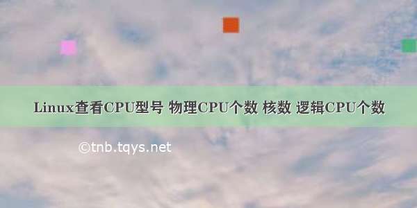 Linux查看CPU型号 物理CPU个数 核数 逻辑CPU个数