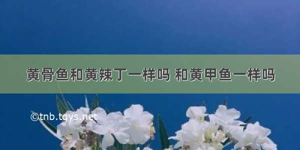 黄骨鱼和黄辣丁一样吗 和黄甲鱼一样吗