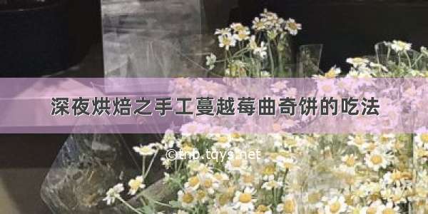 深夜烘焙之手工蔓越莓曲奇饼的吃法