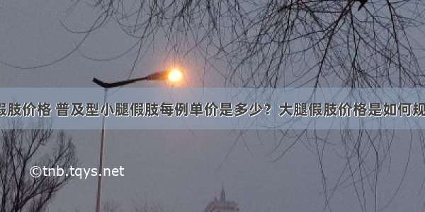 扶贫假肢价格 普及型小腿假肢每例单价是多少？大腿假肢价格是如何规定的？