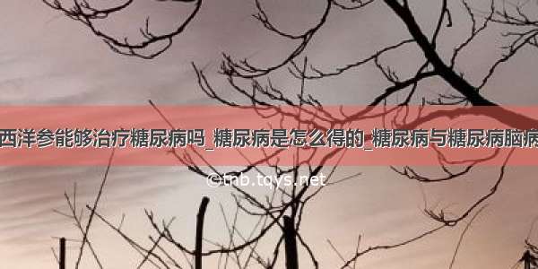 西洋参能够治疗糖尿病吗_糖尿病是怎么得的_糖尿病与糖尿病脑病