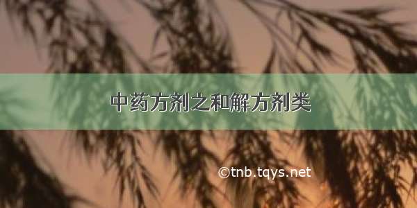 中药方剂之和解方剂类