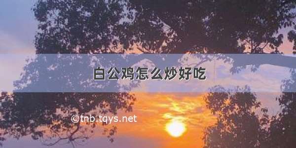 白公鸡怎么炒好吃