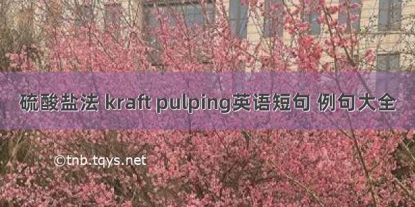 硫酸盐法 kraft pulping英语短句 例句大全