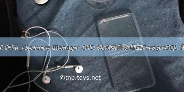 chd mysql 作用_Cloudera Manager CHD 切换内置数据库PostgreSQL 到 Mysql