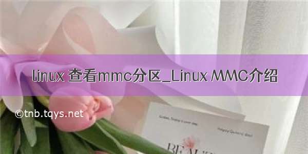 linux 查看mmc分区_Linux MMC介绍