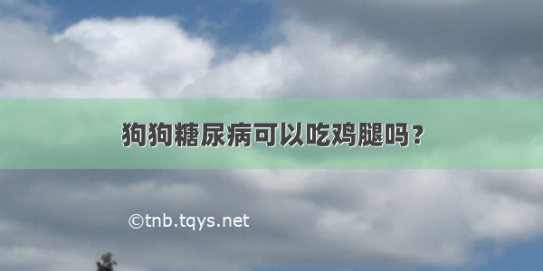 狗狗糖尿病可以吃鸡腿吗？