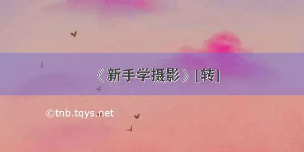 《新手学摄影》[转]