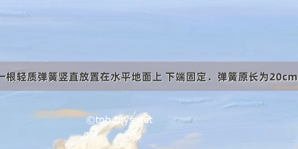 如图所示 一根轻质弹簧竖直放置在水平地面上 下端固定．弹簧原长为20cm 劲度系数k