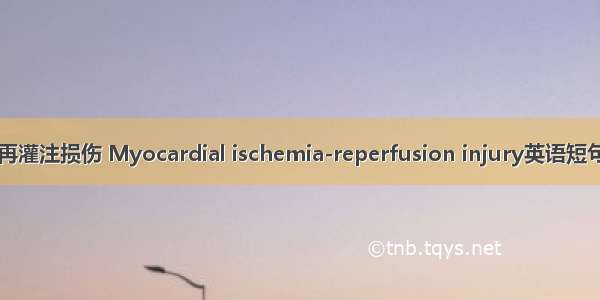 心肌缺血-再灌注损伤 Myocardial ischemia-reperfusion injury英语短句 例句大全