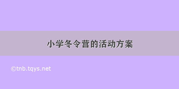 小学冬令营的活动方案