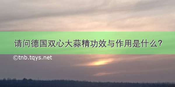 请问德国双心大蒜精功效与作用是什么？