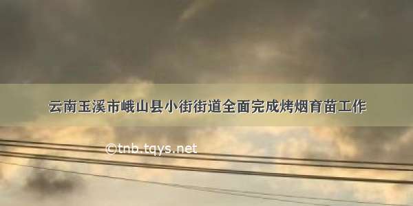 云南玉溪市峨山县小街街道全面完成烤烟育苗工作