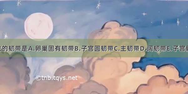 维持子宫前倾位的韧带是A.卵巢固有韧带B.子宫圆韧带C.主韧带D.阔韧带E.子宫骶骨韧带ABCDE