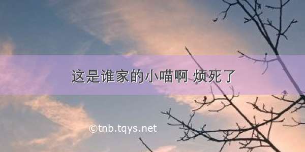 这是谁家的小喵啊 烦死了