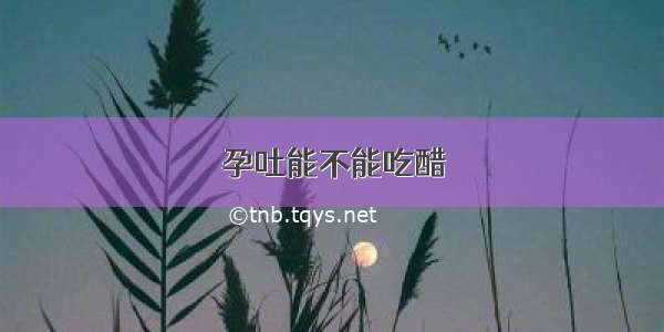 孕吐能不能吃醋