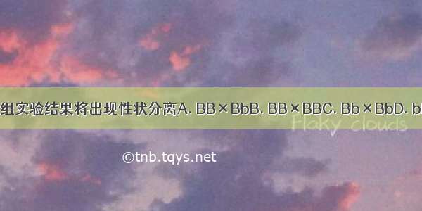 下列哪组实验结果将出现性状分离A. BB×BbB. BB×BBC. Bb×BbD. bb×bb