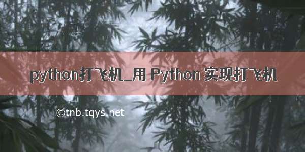 python打飞机_用 Python 实现打飞机