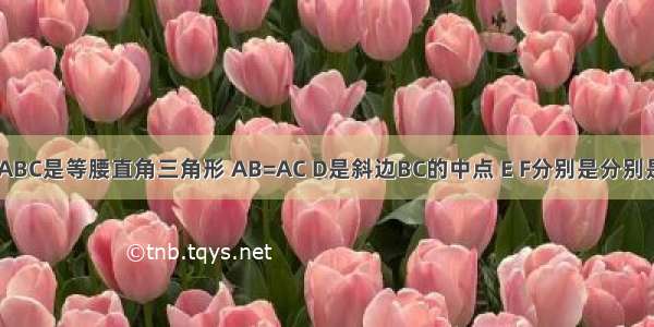 如图所示 △ABC是等腰直角三角形 AB=AC D是斜边BC的中点 E F分别是分别是AB AC边上