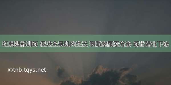 经典腿部训练 促进全身肌肉生长 刺激睾酮素分泌 练出强壮下肢