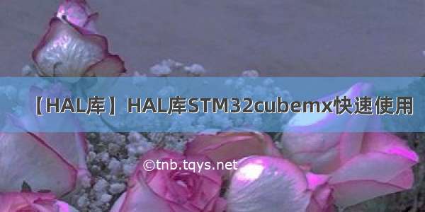 【HAL库】HAL库STM32cubemx快速使用