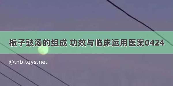 栀子豉汤的组成 功效与临床运用医案0424