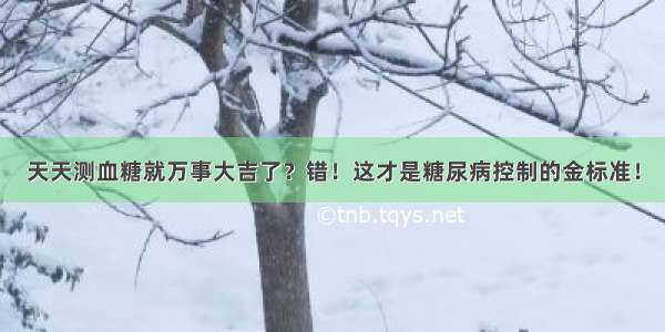 天天测血糖就万事大吉了？错！这才是糖尿病控制的金标准！