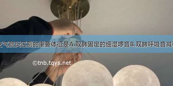 肺炎喘嗽与支气管炎区别的重要体征是A.双肺固定的细湿啰音B.双肺呼吸音减弱C.双肺呼吸