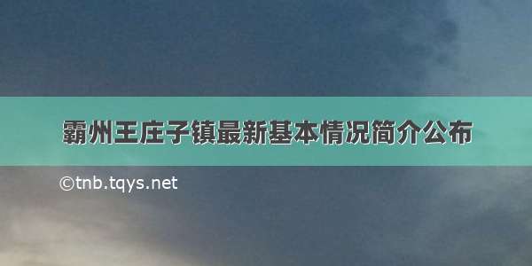 霸州王庄子镇最新基本情况简介公布