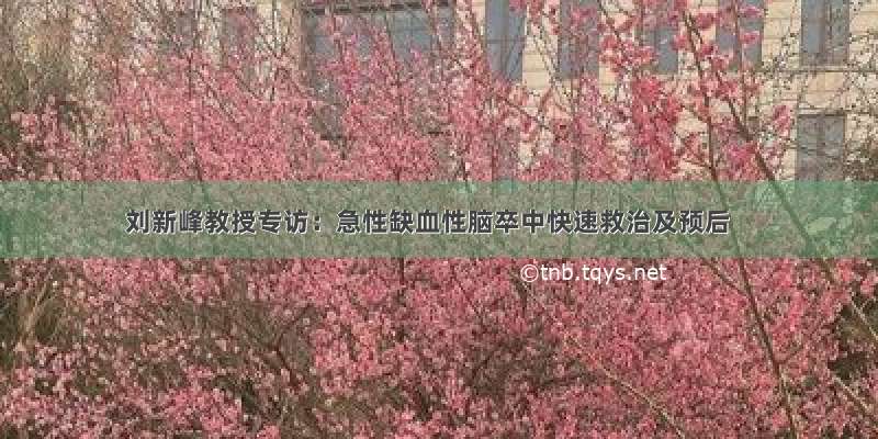 刘新峰教授专访：急性缺血性脑卒中快速救治及预后