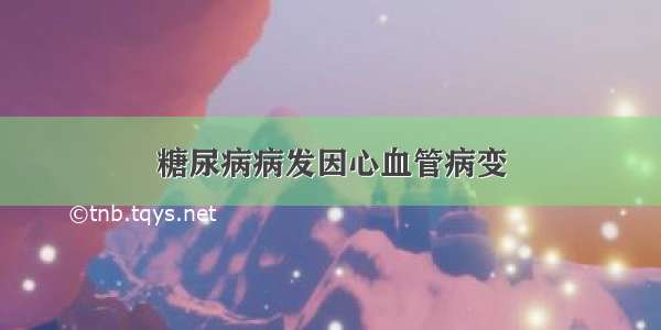 糖尿病病发因心血管病变