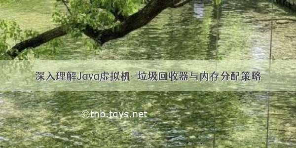 深入理解Java虚拟机-垃圾回收器与内存分配策略