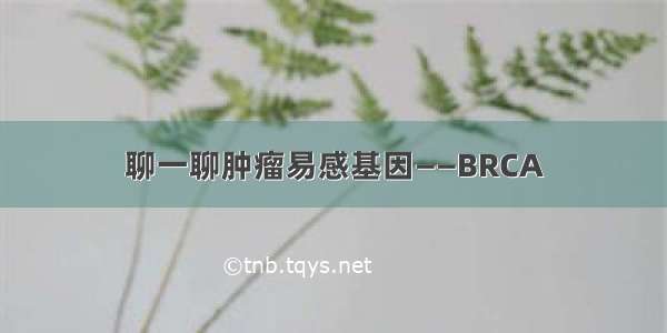 聊一聊肿瘤易感基因——BRCA