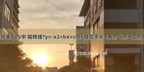 在平面直角坐标系xOy中 抛物线?y=-x2+bx+c与x轴交于A B两点（点A在点B的左侧） 与y