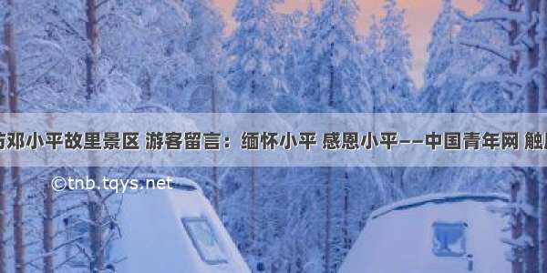 探访邓小平故里景区 游客留言：缅怀小平 感恩小平——中国青年网 触屏版