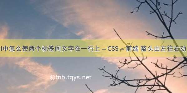 html中怎么使两个标签间文字在一行上 – CSS – 前端 箭头由左往右动 css3