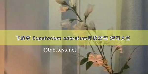 飞机草 Eupatorium odoratum英语短句 例句大全