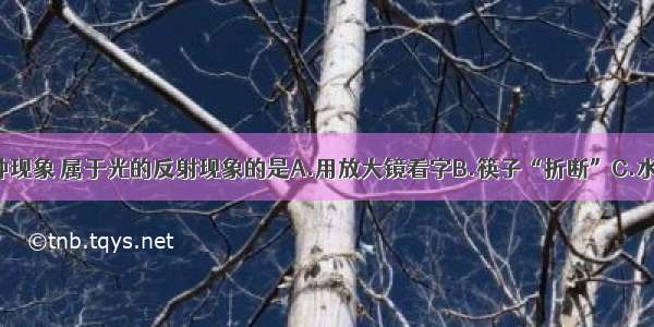 如图所示的四种现象 属于光的反射现象的是A.用放大镜看字B.筷子“折断”C.水中倒影D.手影