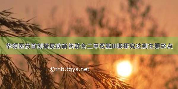 华领医药首创糖尿病新药联合二甲双胍III期研究达到主要终点