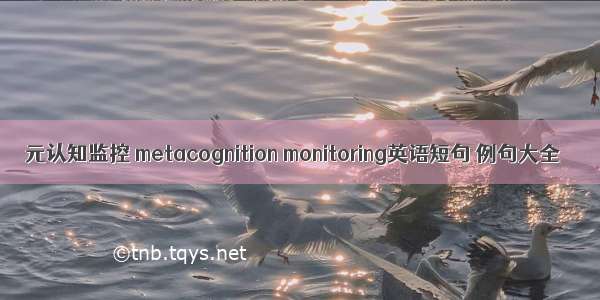 元认知监控 metacognition monitoring英语短句 例句大全