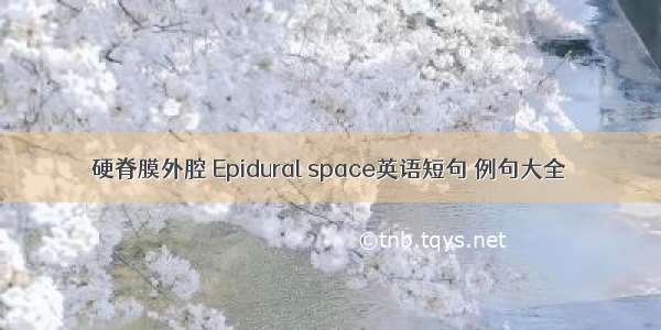 硬脊膜外腔 Epidural space英语短句 例句大全