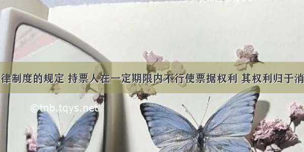 根据票据法律制度的规定 持票人在一定期限内不行使票据权利 其权利归于消灭。下列有