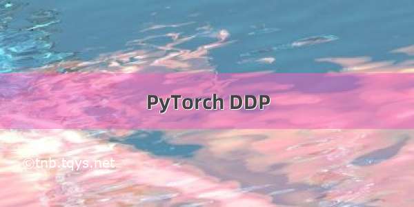 PyTorch DDP