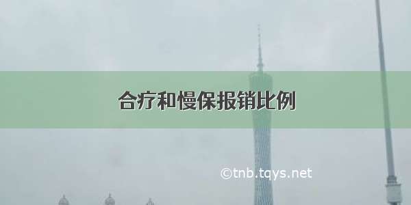 合疗和慢保报销比例