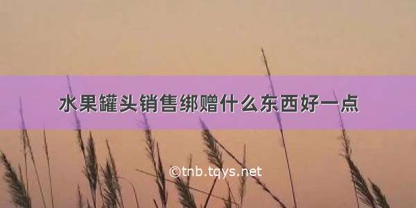 水果罐头销售绑赠什么东西好一点