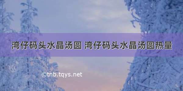 湾仔码头水晶汤圆 湾仔码头水晶汤圆热量