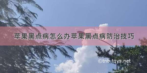 苹果黑点病怎么办苹果黑点病防治技巧