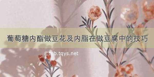 葡萄糖内酯做豆花及内脂在做豆腐中的技巧