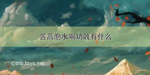 苦蒿泡水喝功效有什么