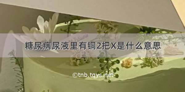 糖尿病尿液里有铜2把X是什么意思